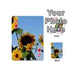 Sunflower Flower Yellow Playing Cards 54 Designs (Mini) Front - DiamondJ