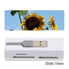 Sunflower Flower Yellow Memory Card Reader (stick) by artworkshop