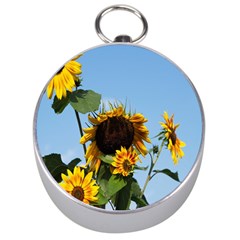 Sunflower Flower Yellow Silver Compasses by artworkshop