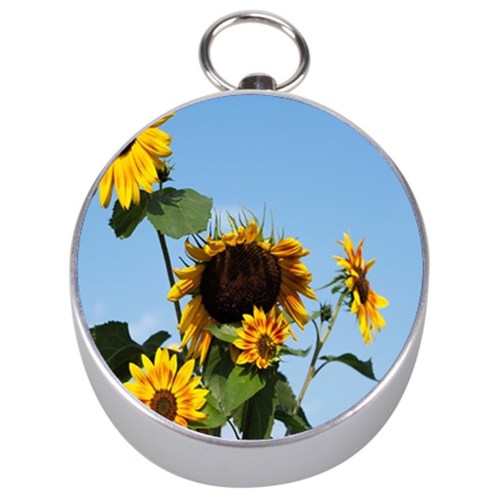 Sunflower Flower Yellow Silver Compasses