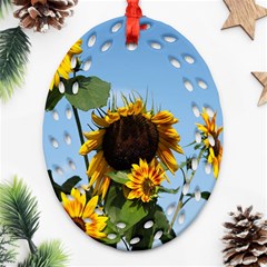 Sunflower Flower Yellow Oval Filigree Ornament (two Sides) by artworkshop