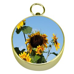 Sunflower Flower Yellow Gold Compasses by artworkshop