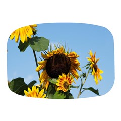 Sunflower Flower Yellow Mini Square Pill Box by artworkshop