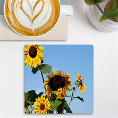 Sunflower Flower Yellow Uv Print Square Tile Coaster  by artworkshop