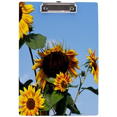 Sunflower Flower Yellow A4 Acrylic Clipboard by artworkshop