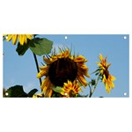 Sunflower Flower Yellow Banner and Sign 4  x 2  Front