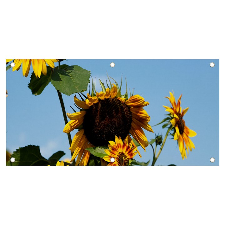 Sunflower Flower Yellow Banner and Sign 4  x 2 