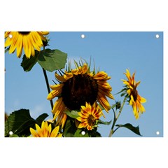 Sunflower Flower Yellow Banner And Sign 6  X 4  by artworkshop