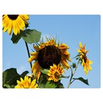 Sunflower Flower Yellow Premium Plush Fleece Blanket (Extra Small) 40 x30  Blanket Back