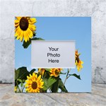 Sunflower Flower Yellow White Box Photo Frame 4  x 6  Front