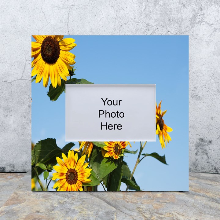 Sunflower Flower Yellow White Box Photo Frame 4  x 6 