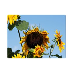 Sunflower Flower Yellow One Side Premium Plush Fleece Blanket (mini) by artworkshop