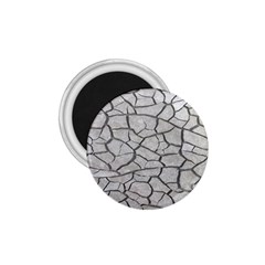 Texture Pattern Tile 1.75  Magnets