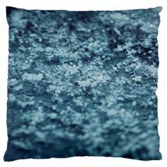 Texture Reef Pattern Standard Premium Plush Fleece Cushion Case (one Side) by artworkshop