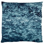 Texture Reef Pattern Standard Premium Plush Fleece Cushion Case (One Side) Front