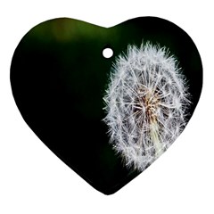 White Flower Ornament (heart) by artworkshop