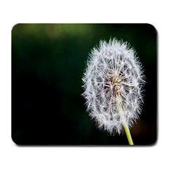 White Flower Large Mousepad by artworkshop