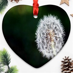 White Flower Heart Ornament (two Sides) by artworkshop