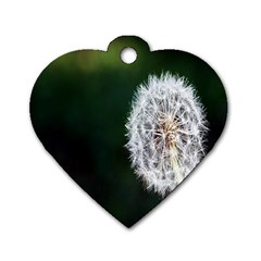 White Flower Dog Tag Heart (one Side) by artworkshop