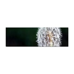 White Flower Sticker Bumper (10 Pack) by artworkshop