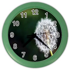 White Flower Color Wall Clock by artworkshop