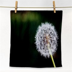 White Flower Face Towel by artworkshop