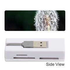 White Flower Memory Card Reader (stick) by artworkshop