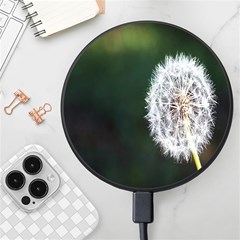 White Flower Wireless Fast Charger(black)