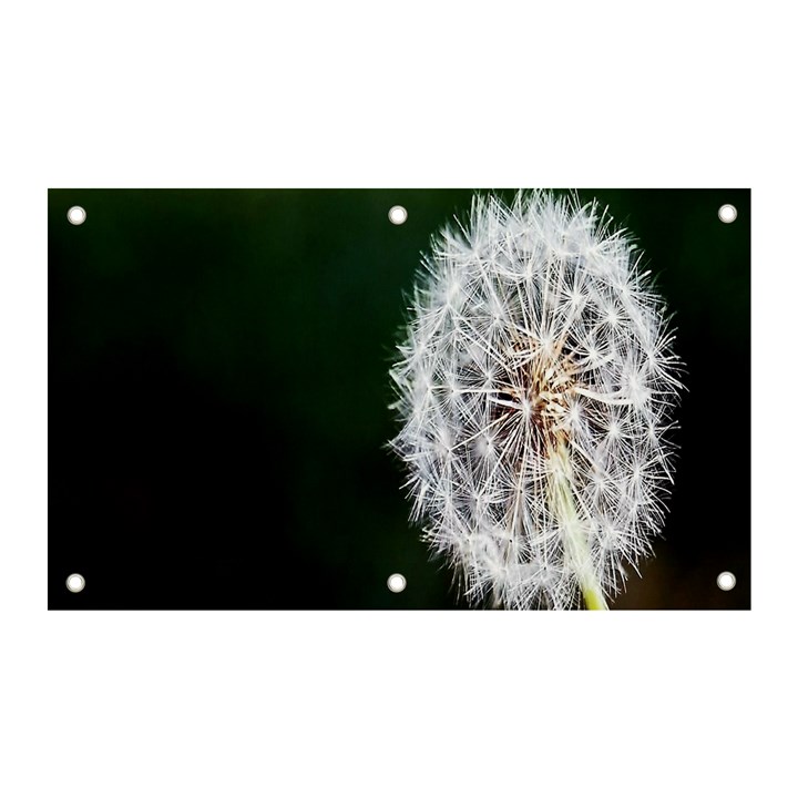 White Flower Banner and Sign 5  x 3 