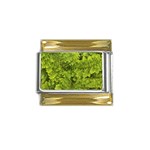 Botanical Motif Plants Detail Photography Gold Trim Italian Charm (9mm) Front