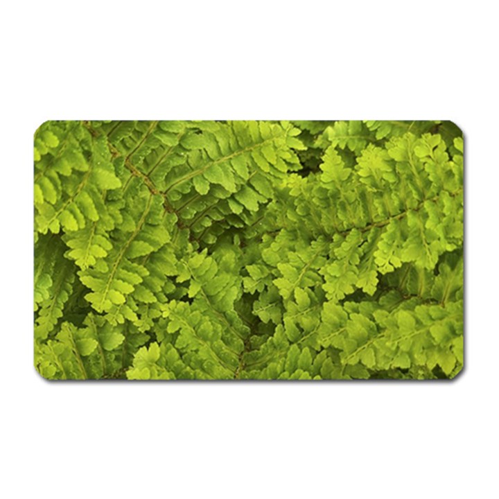 Botanical Motif Plants Detail Photography Magnet (Rectangular)