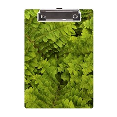 Botanical Motif Plants Detail Photography A5 Acrylic Clipboard by dflcprintsclothing