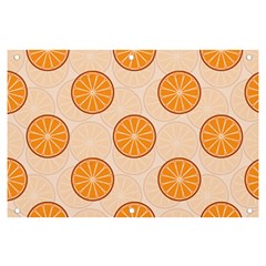 Orange Slices! Banner And Sign 6  X 4  by fructosebat