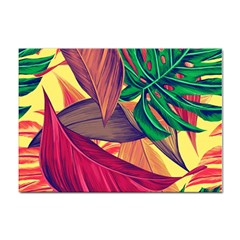 Monstera Tropical Design Beach Sticker A4 (10 Pack)