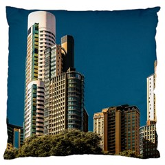 Puerto Madero Cityscape, Buenos Aires, Argentina Large Cushion Case (one Side) by dflcprintsclothing