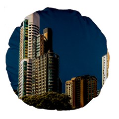 Puerto Madero Cityscape, Buenos Aires, Argentina Large 18  Premium Round Cushions by dflcprintsclothing