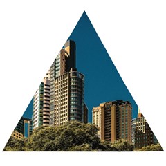 Puerto Madero Cityscape, Buenos Aires, Argentina Wooden Puzzle Triangle by dflcprintsclothing