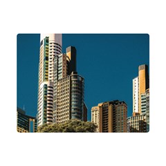 Puerto Madero Cityscape, Buenos Aires, Argentina One Side Premium Plush Fleece Blanket (mini) by dflcprintsclothing