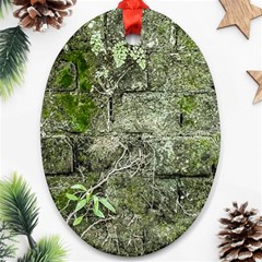 Old Stone Exterior Wall With Moss Ornament (oval) by dflcprintsclothing