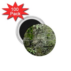 Old Stone Exterior Wall With Moss 1 75  Magnets (100 Pack)  by dflcprintsclothing