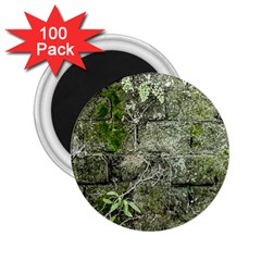 Old Stone Exterior Wall With Moss 2 25  Magnets (100 Pack) 