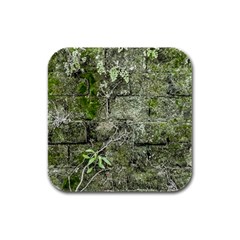 Old Stone Exterior Wall With Moss Rubber Square Coaster (4 Pack) by dflcprintsclothing