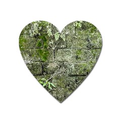 Old Stone Exterior Wall With Moss Heart Magnet by dflcprintsclothing