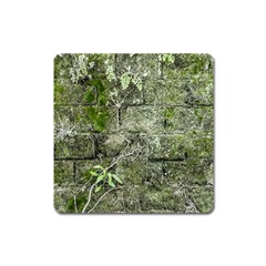 Old Stone Exterior Wall With Moss Square Magnet by dflcprintsclothing