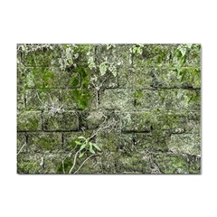 Old Stone Exterior Wall With Moss Sticker A4 (10 Pack) by dflcprintsclothing