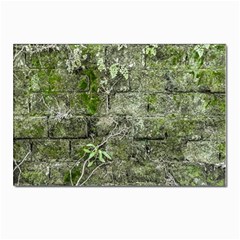 Old Stone Exterior Wall With Moss Postcards 5  X 7  (pkg Of 10) by dflcprintsclothing