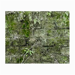 Old Stone Exterior Wall With Moss Small Glasses Cloth by dflcprintsclothing