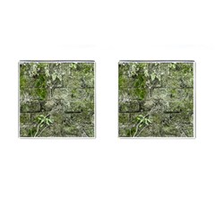 Old Stone Exterior Wall With Moss Cufflinks (square) by dflcprintsclothing