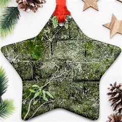 Old Stone Exterior Wall With Moss Star Ornament (two Sides) by dflcprintsclothing