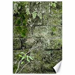 Old Stone Exterior Wall With Moss Canvas 12  X 18  by dflcprintsclothing